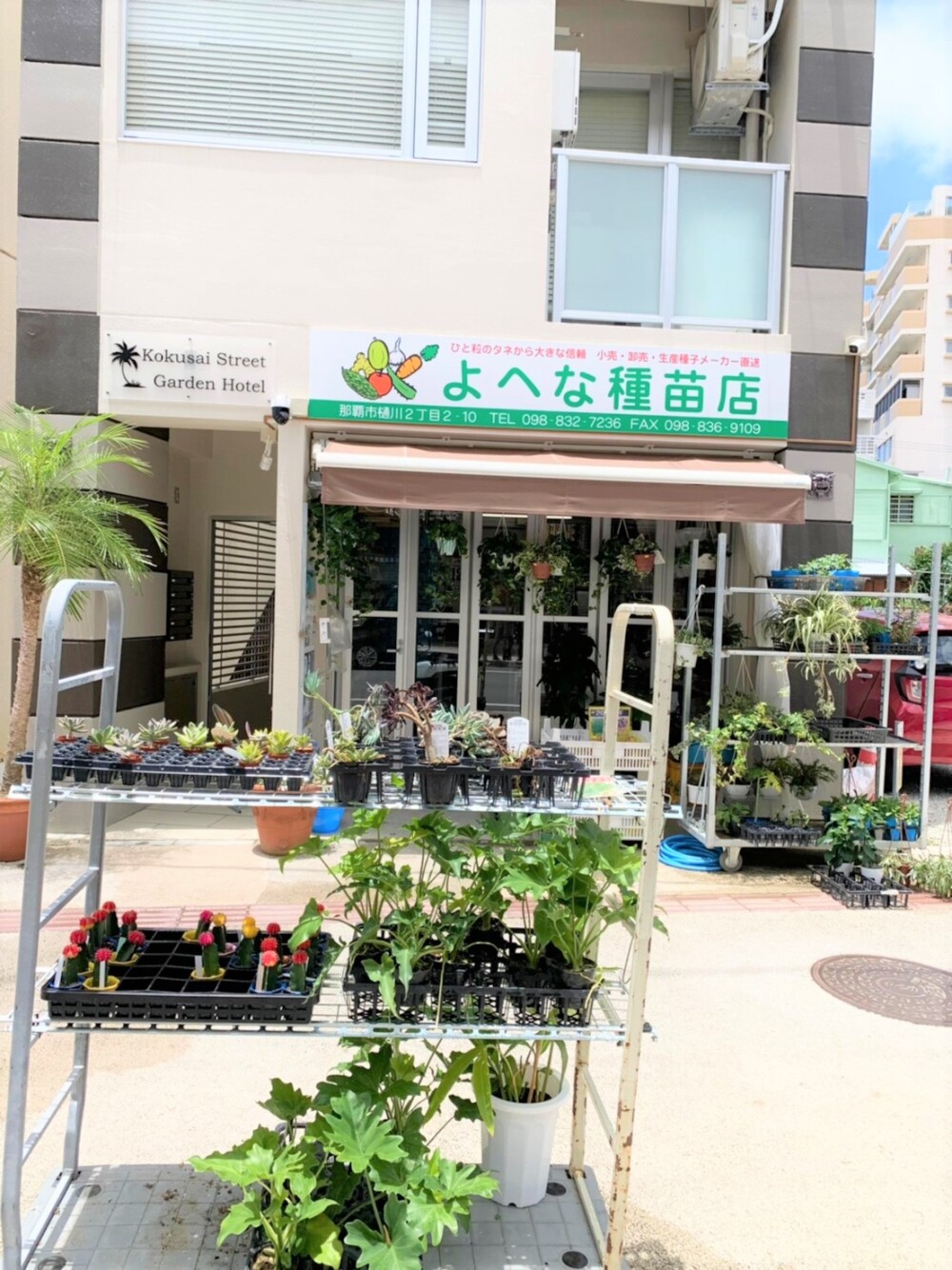 よへな種苗店 よへな種苗店